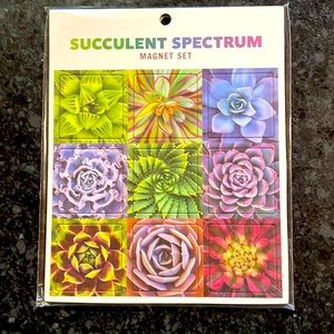 Galison succulent magnet set of 9